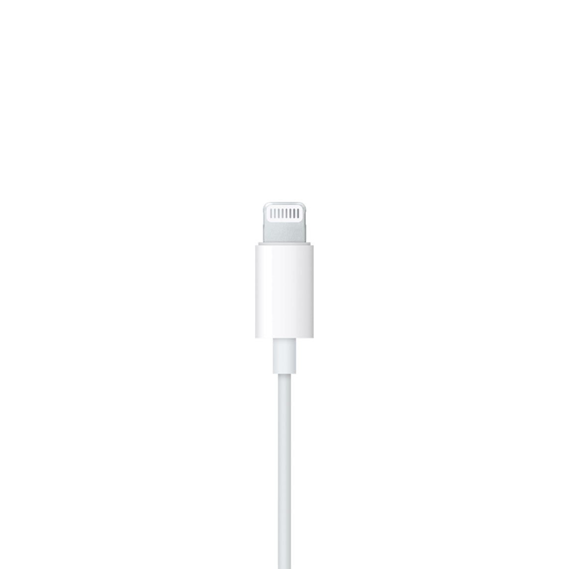 Wired Earphones (Lightning, Type-C Connector)