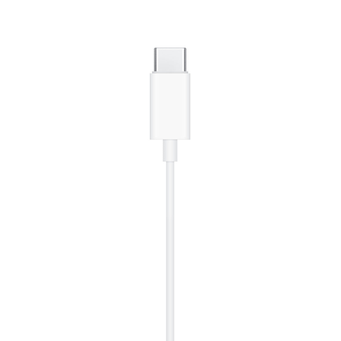Wired Earphones (Lightning, Type-C Connector)